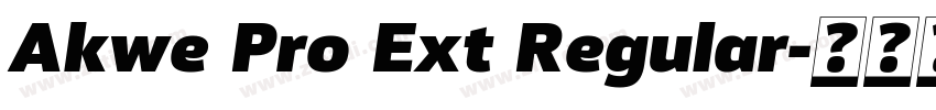 Akwe Pro Ext Regular字体转换
